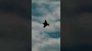 Fighter jet