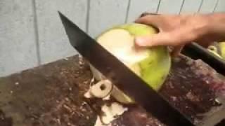 Cutting a coconut open on the intellectual way and on the practical way, does it ring a bell?