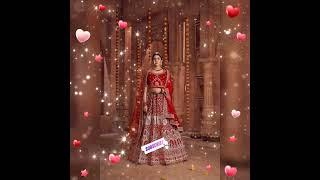 Indian wedding wear lehenga by vibhus Collection #shorts #youtubeshorts #viral #viralvideo #views