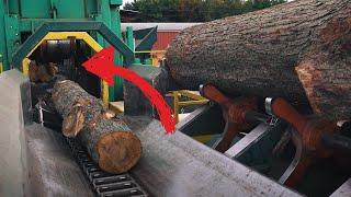 Fastest Automatic Wood Processing Sawmill Machines That You Must See 