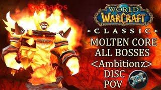 Molten Core Priest Discipline Healing PoV | WoW Classic Gameplay