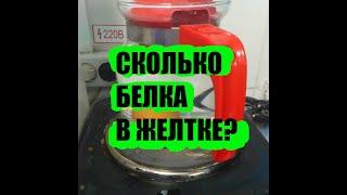 Сколько белка в желтке? Анализ протеина в яйце.