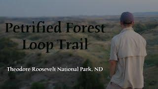 Petrified Forest Loop Trail | Theodore Roosevelt National Park, ND