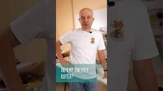 Почему тактует котёл? #котел #shorts