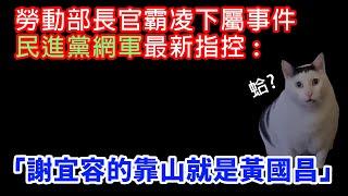 勞動部長官霸凌下屬，名嘴李正皓、綠網軍控「黃國昌涉嫌幫官員壓新聞」#黃國昌 #民進黨 #民眾黨 #李正皓