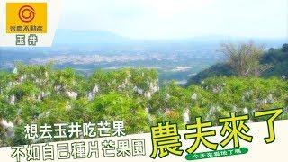 台南 玉井 愛文 芒果的故鄉 退休生活 台20線 經濟作物 開心農場 大面寬社區農地 | 永慶不動產 台南歸仁中山加盟店