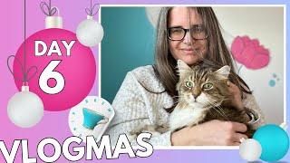 tea advents, kitty love, typewriter love - day 6 vlogmas