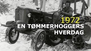 Arbeid i skogen - en tømmerhoggers hverdag (1972)