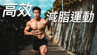 高強度間歇HITT vs 超慢跑，哪個運動減脂效果最好？