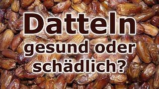 Datteln, die leckere Süßigkeit aus der Wüste - wirklich so gesund? (Rohkost, Vegan)