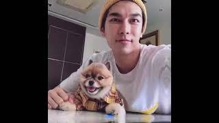 Mew Suppasit celebrating Chopper's 9th Birthday