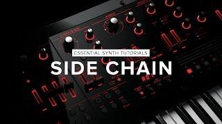 Side Chain