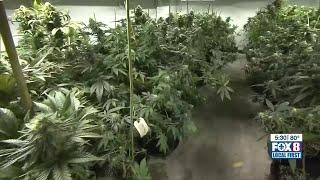 Louisiana lawmakers setting the stage for medical marijuana expansion debate