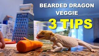 3 Tips On Keeping Your Bearded Dragon's Veggie Fresh !!