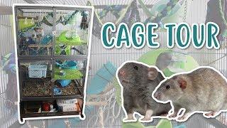 RAT CAGE TOUR! | PetPlanet rat and ferret cage