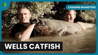 Giant Catfish in Urban Paris! - Chasing Monsters - Fishing Show