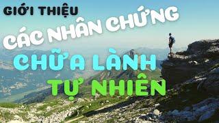 Chữa Lành Tự Nhiên & Các Nhân Chứng Sống