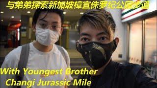 The Changi Jurassic Mile Changi Airport Connector IG Chk In Place章宜侏罗纪公园步道打卡点#changijurassicmile V52