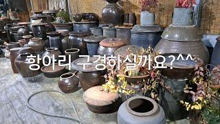 물하아리/항아리/물동이/새우젓독/곤쟁이젓독/백화등/오죽/민속품