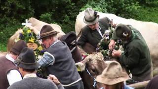 Pfronten Urlaub im Allgäu und der Viehscheid