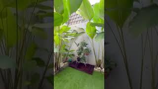 Rumah idaman - Inspirasi taman minimalis untuk rumah dengan lahan dan budget terbatas nih! Kala