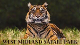 The Ultimate Guide to West Midlands Safari Park 2025