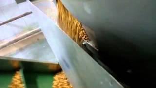 Chana Roasting Flavoring : ENGIMECH INDUSTRIES, ROAST MASTER