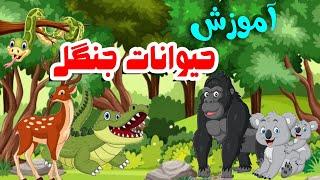 آموزش حیوانات جنگل به فارسی برای کودکان | اموزش حیوانات وحشی