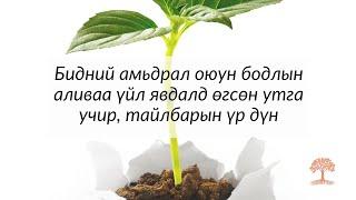 Бидний амьдрал оюун бодлын аливаа үйл явдалд өгсөн утга учир, тайлбарын үр дүн