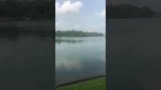 MacRitchie Reservoir (The Oldest Reservoir In Singapore)