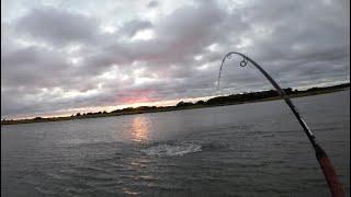 Nor'easter Mullet Run - Topwater Stripers Tight to Shore