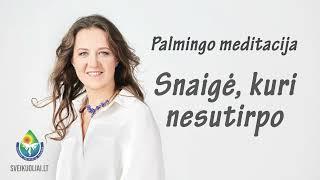 Palmingo meditacija - Snaigė, kuri nesutirpo