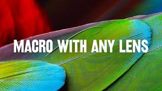 Get SHARP MACRO with ANY LENS