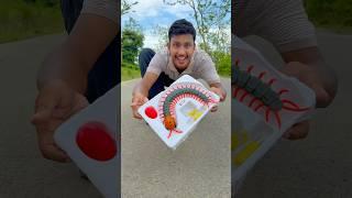 Large Size RC Centipede Scolopendra
