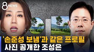 '손준성 보냄'과 같은 프로필 사진 공개한 조성은 / SBS