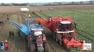 Edenhall E25 beet chaser