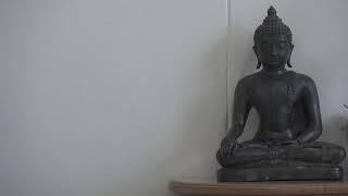 Guided Meditation: Global Awareness; Samadhi (31) Basic Elements of Samadhi