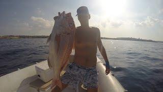 Red Snapper - Live Strike - Slow Pitch Jigging