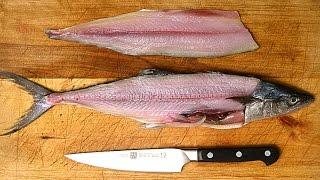 How to Fillet a Fish