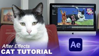 After Effects CAT TUTORIAL / Just Dance 2023 / Inspira Stop Motion