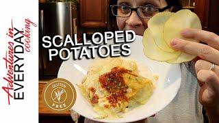 Scalloped Potatoes - Adventures in Everyday Cooking