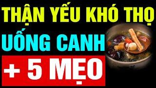 Nhắc Tuổi 70 79: CÁCH NẤU CANH DƯỠNG THẬN VÀ 4 LOẠI NƯỚC ĐỂ HỒI SINH THẬN SUY YẾU Sống Thọ