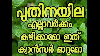 പുതീന കഴിച്ചാൽ  | Benefits and side effects of Mint Leaves