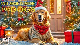 Relaxing Christmas DogsDOG TV: Best Videos to Relax Dogs + Soothing Music for a Peaceful Christmas