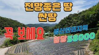 7. 상주 은척 무릉리 전망 좋은 3필지 #전원주택 #상주 #토지