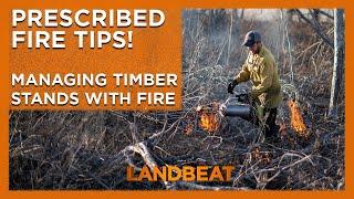  Prescribed Fire Tips | Managing Timber Stands With Fire 