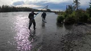 Alaska Kenai in August