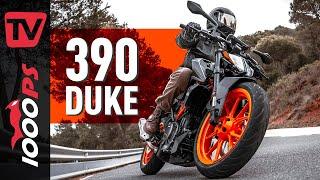 KTM 390 Duke 2021 im Test - so viel Spaß für unter 6.000 Euro