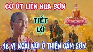 Cô Út Liên Hoa Sơn Nói Về Sư Minh Tuệ | Lâm An Giang