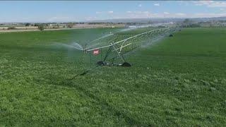 Water curtailment orders stop, farmers focus on negotiations for a long-term plan